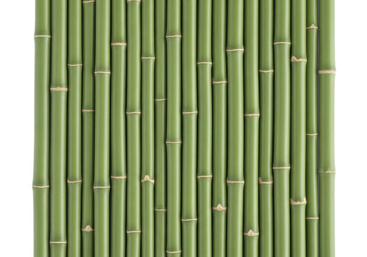 photorealistic macro of segmented pale jade green bamboo stalks in parallel geometric rows against a snow-white void, highlighting subtle wood grain and matte texture. concept of natural repetition