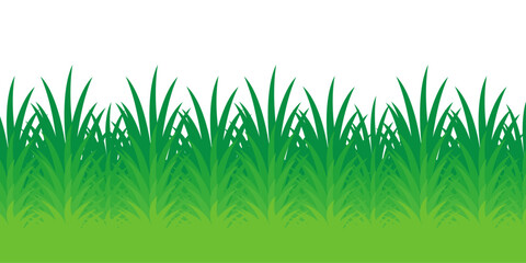 Fototapeta premium green grass illustration, sustainable grass nature, grass design in flat style 