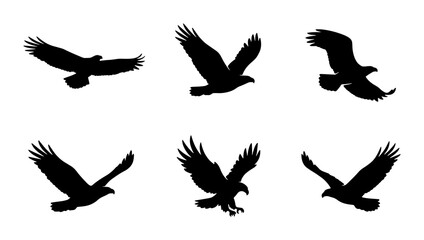 Naklejka premium Eagle Silhouettes Vector Set, Majestic Bird Poses Collection, Freedom Symbol Graphics, Wildlife Icon Pack, Black and White Flight Illustrations