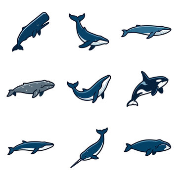 Blue whale and marine mammal silhouette icons
