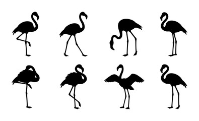 Fototapeta premium Flamingo Silhouettes Vector Set, Elegant Bird Poses Collection, Tropical Wildlife Graphics, Simple Black and White Animal Icons