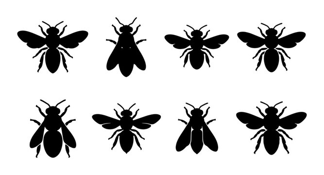 Set of 8 Black Bee Silhouettes, Insect Vector Icons, Flying Winged Creatures, Nature Wildlife Graphics, Simple Minimalist Design