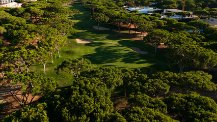 Naklejka premium Aerial view of a lush green park with a pathway bisecting the manicured lawn and surrounded by dense trees on a sunny day Stock Photo