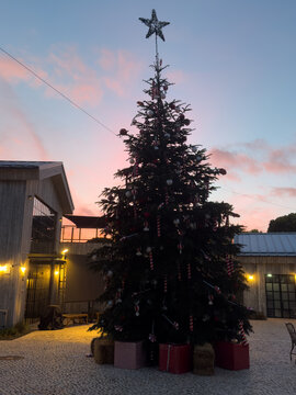 Constance town square with decorated Christmas tree, fairy lights, and decorated old town building at sunset
