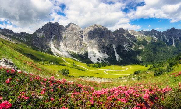 Mountain panorama with red flowers of the Schlick Mountains with Kalkkogel on the Kreuzjoch near Fulpmes
