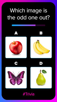Social Media Timed Multiple Choice Image Quiz