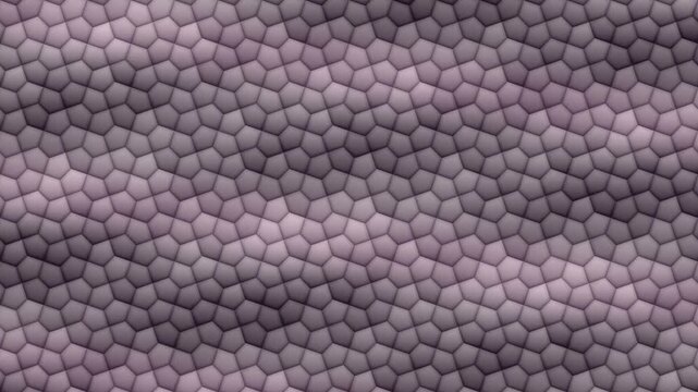 Cairo Pentagonal Tiling Flexing Through Its One Degree of Freedom Abstract Background Seamless Loop in cool plum tones