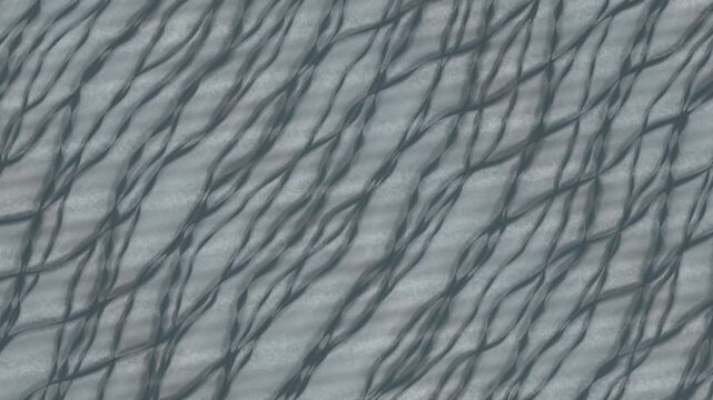 Braided River Channels Shifting Across a Pale Gravel Flat, Aerial Top Down Seamless Loop in bright grey tones