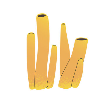 Yellow tube sponge. Tropical plant of coral reef. Colourful polyps of the ocean stones, rocks. Underwater flora. Undersea nature. Sea life. Flat isolated vector illustration on white background