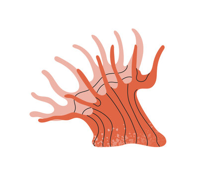 Sea anemone icon. Red plant with tentacles of coral reef. Underwater nature, undersea flora. Tropical algae, seaweed. Exotic ocean life. Flat isolated vector illustration on white background