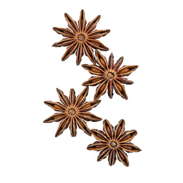 Four dried star anise spices arranged in a vertical pattern on a white background, isolated on a, transparent background