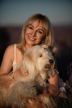 Woman dog portrait lavender field sunset happiness connection