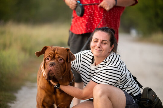 Happy woman hugging Dogue de Bordeaux dog outdoors in nature stock photo
