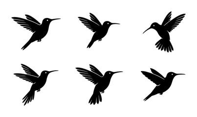 Fototapeta premium Six Silhouette Hummingbirds in Flight, Vector Graphics Set, Elegant Black Bird Poses for Nature Designs