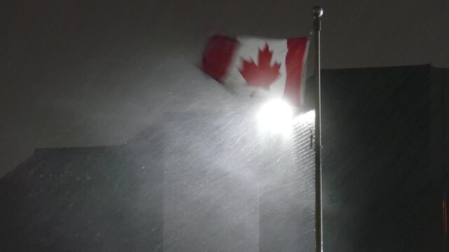 Canadian flag waving vigorously in heavy snowstorm at night illuminated by bright street lamp.