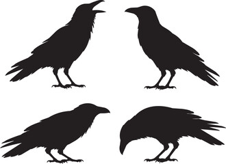 Naklejka premium crow and raven silhouette set with four different bird poses icon vector illustration