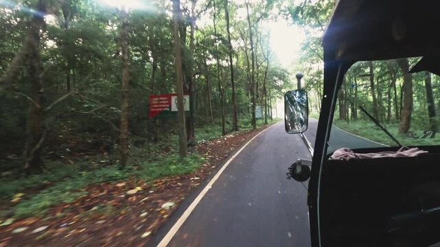 POV video of riding in an auto rickshaw through a lush forest road in Kerala, India, showcasing a scenic rural journey surrounded by dense tropical greenery.