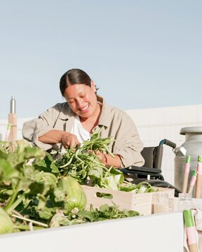 Indigenous woman in a wheelchair harvesting squash and beans from a raised garden bed, showing a satisfied and capable expression for community gardening and accessibility