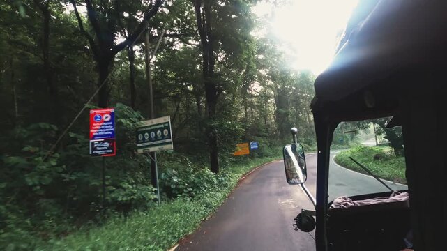 POV video of riding in an auto rickshaw through a lush forest road in Kerala, India, showcasing a scenic rural journey surrounded by dense tropical greenery.