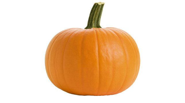 Round orange pumpkin with green stem, isolated on transparent background