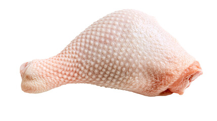 Raw chicken leg quarter with textured skin, isolated on transparent background © Finn