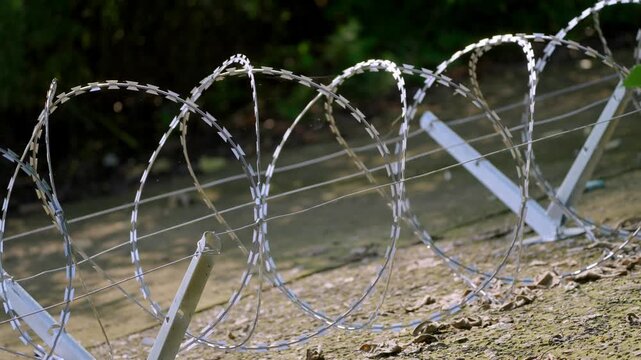 Large razor wire loops held by angled metal barrier supports