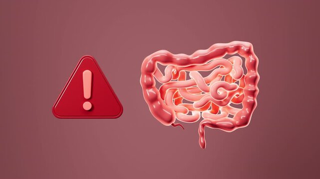 Human intestines, enteritis, intestinal flora imbalance, etc. 3d rendering.