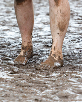Muddy feet stand in wet, brown mud