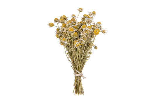 Small dried chamomile flower bouquet tied with twine, captured on a clean white background with soft, even lighting