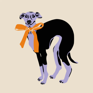 Whippet dog with ribbon bow standing and looking. Hand drawn trendy Vector illustration. Pet care, animal graphic clipart, canine concept. Sticker, logo, print template. Isolated element