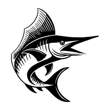 vector illustration of a sailfish