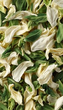 Organic Dried Bok Choy Shreds And Leaf Pieces Close Up Top View Full Frame Texture Vertical Motif