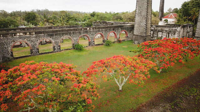 Aerial view of the historic Four a Chaux lime kiln ruins featuring stone arches and vibrant red flamboyant trees on a green lawn in Quatre Cocos, Flacq, Mauritius.