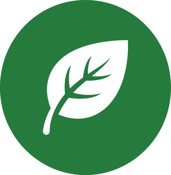 Eco friendly green leaf vector icon in circle
