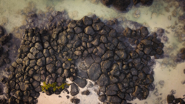 Aerial view of volcanic rock formations along the coastline with clear shallow water and small green plants in Cap Malheureux, Riviere du Rempart, Mauritius.