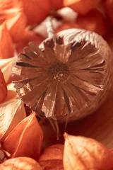 Herbstlicher Hintergrund in orange braun Dekoration mit LampionblumenLicht und Schatten © Gisela
