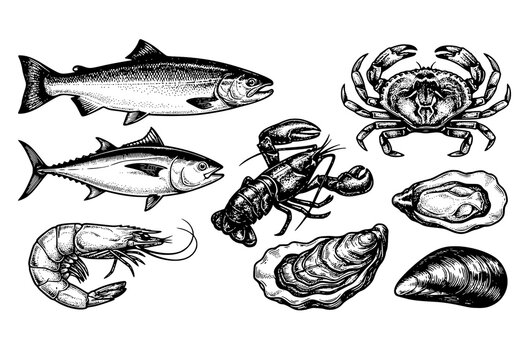 Untitled design Seafood Collection with Fish, Crab, Shrimp, Lobster, Oyster and Shellfish Vintage Engraving