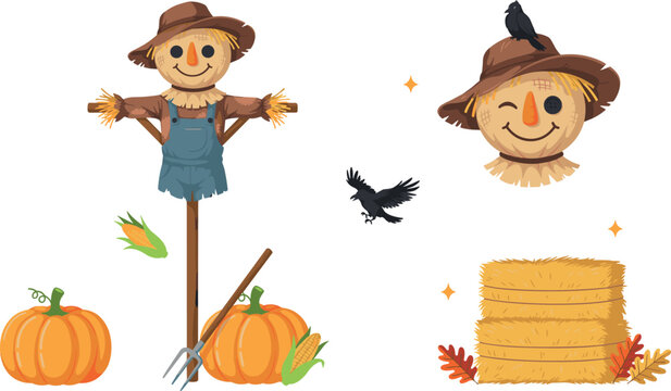 Cute Autumn Scarecrow and Harvest elements Vector Set with Crow, Pumpkins, Hay Bale, and Corn for Thanksgiving and Halloween Holiday Designs,