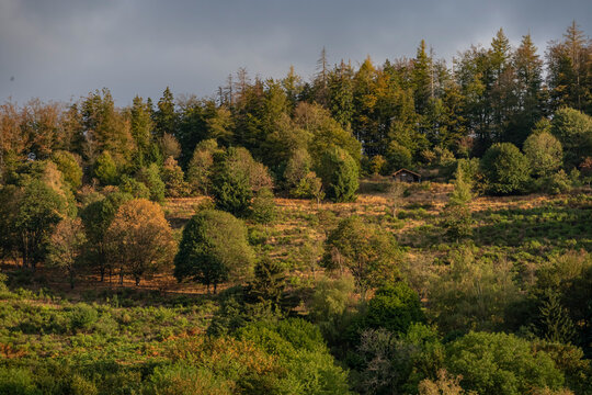Bussang, France - 08 19 2026: Panoramic view of the Vosges forest and peaks around the village.
