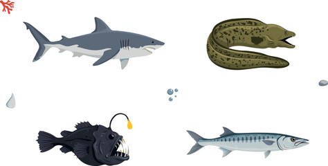 Fototapeta premium Dangerous Deep Sea Predator Fish Vector Set Featuring Great White Shark, Moray Eel, Anglerfish, and Barracuda with Underwater Elements,