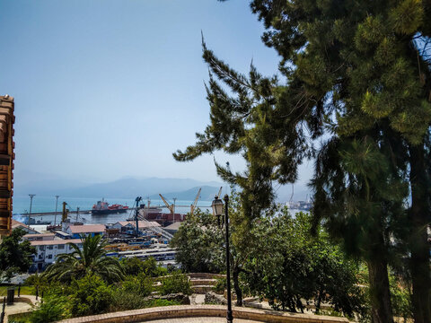 Industrial seaport landscape viewed from a high vantage point framed by lush green pine branches featuring cargo ships docked under a bright clear blue sky
