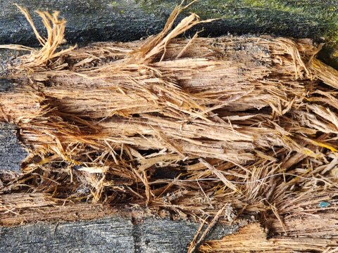 pile of dry grass