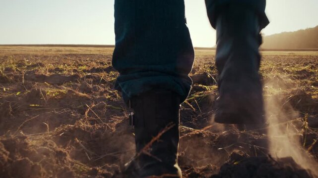 Farmer walks across empty field after harvest gathering closeup
