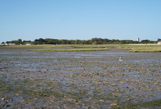 A coastal mudflat scene at low tide features a resting yellow buoy, a distant boat, and a wooden pier reaching out over calm water beneath a sunny horizon.