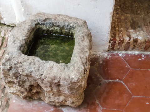 Ancient weathered stone basin containing stagnant green water sits gracefully on traditional terracotta hexagonal tiles next to a simple white wall in a rustic courtyard setting.