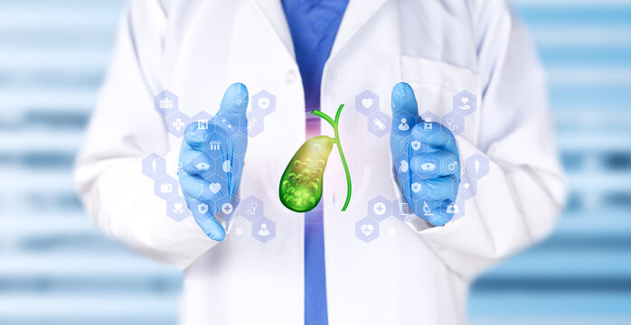 Doctor examining a gallbladder chart. Medical technology, gallstones, gastroenterology and pathology with a soft bokeh effect.
