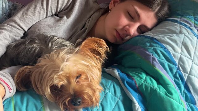 Young woman and her adorable yorkshire terrier dog sleeping peacefully together in a cozy bed, finding tranquility and calm during a restful siesta at home