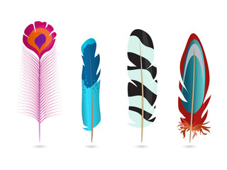 Vibrant feather designs for creative projects transparent background © Mahmuda