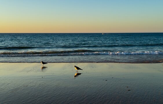 Sunset sea ocean beach horizon sky twilight dusk reflection tranquil sunset sea ocean beach horizon sky twilight dusk reflection tranquil mood serene light calm water wave sand shore evening