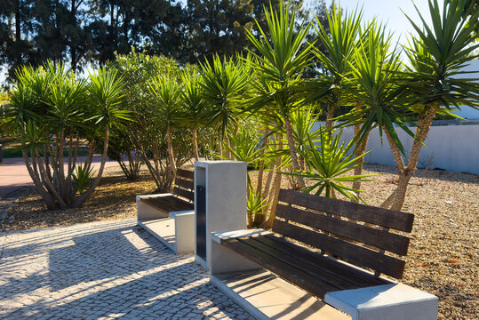 Rectangular concrete stepping stones forming pathway in modern gravel garden with ornamental grass. Real Photo